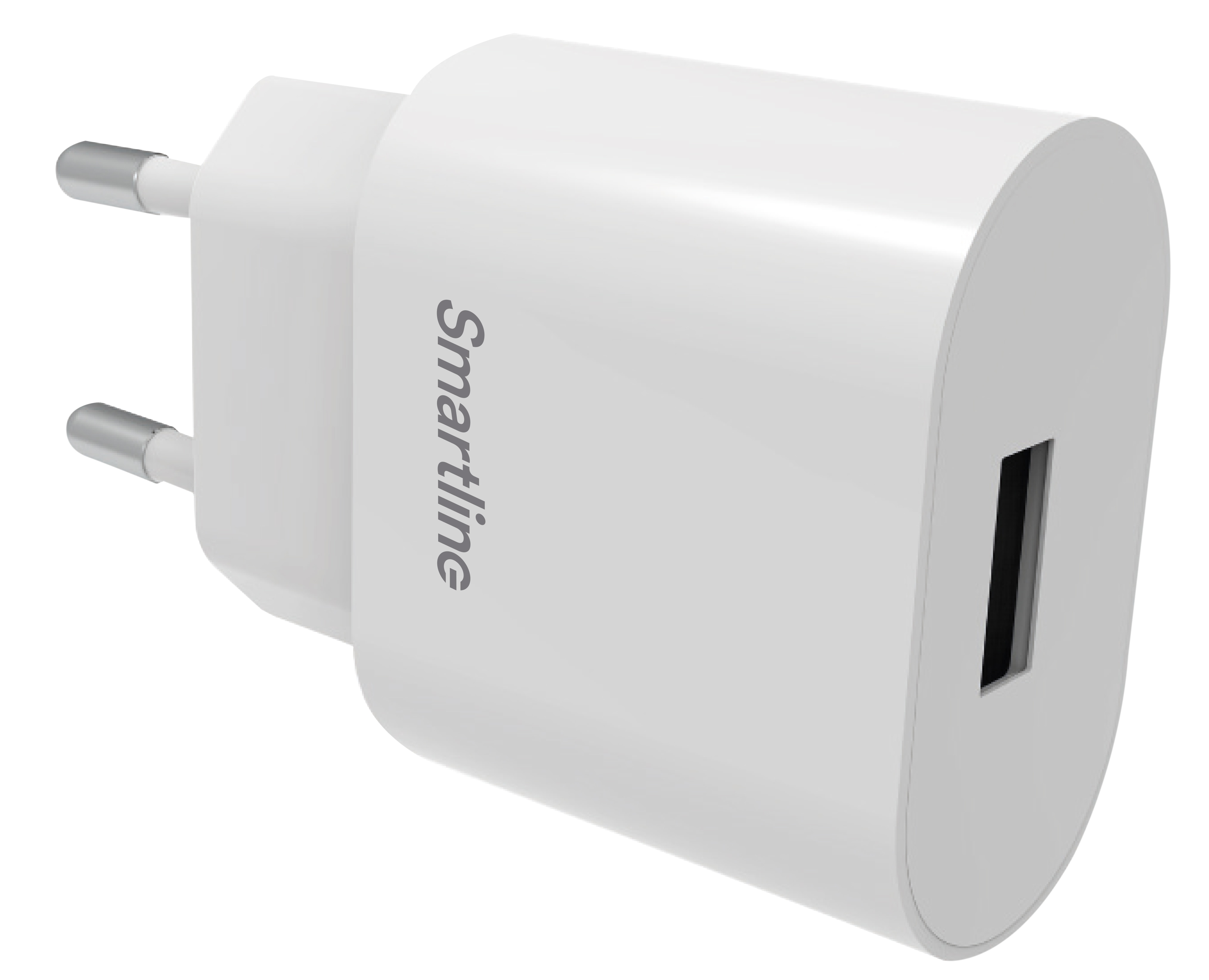 USB Wall Charger 2.4A hvid