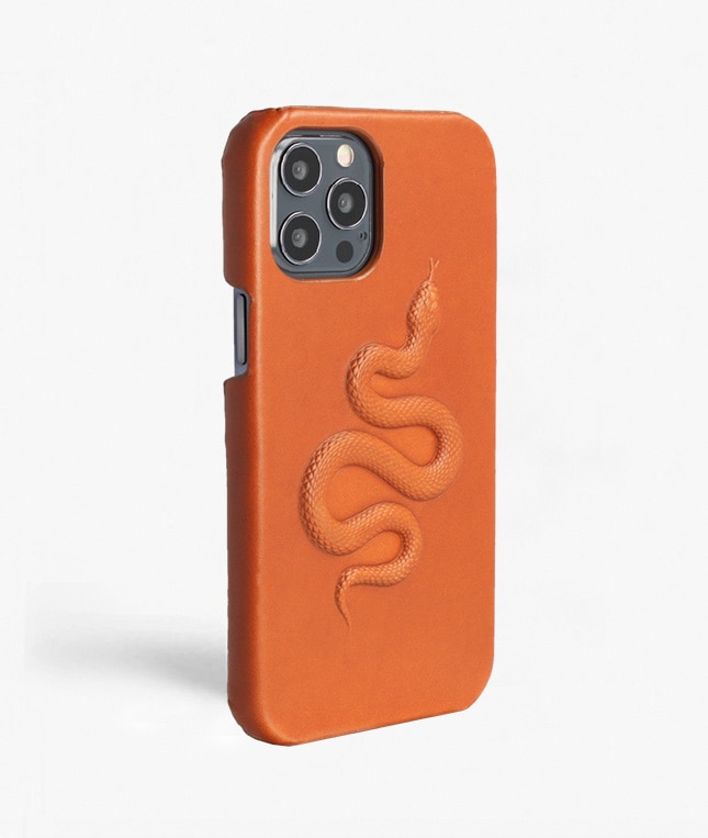 Cover iPhone 12/iPhone 12 Pro Snake Brun
