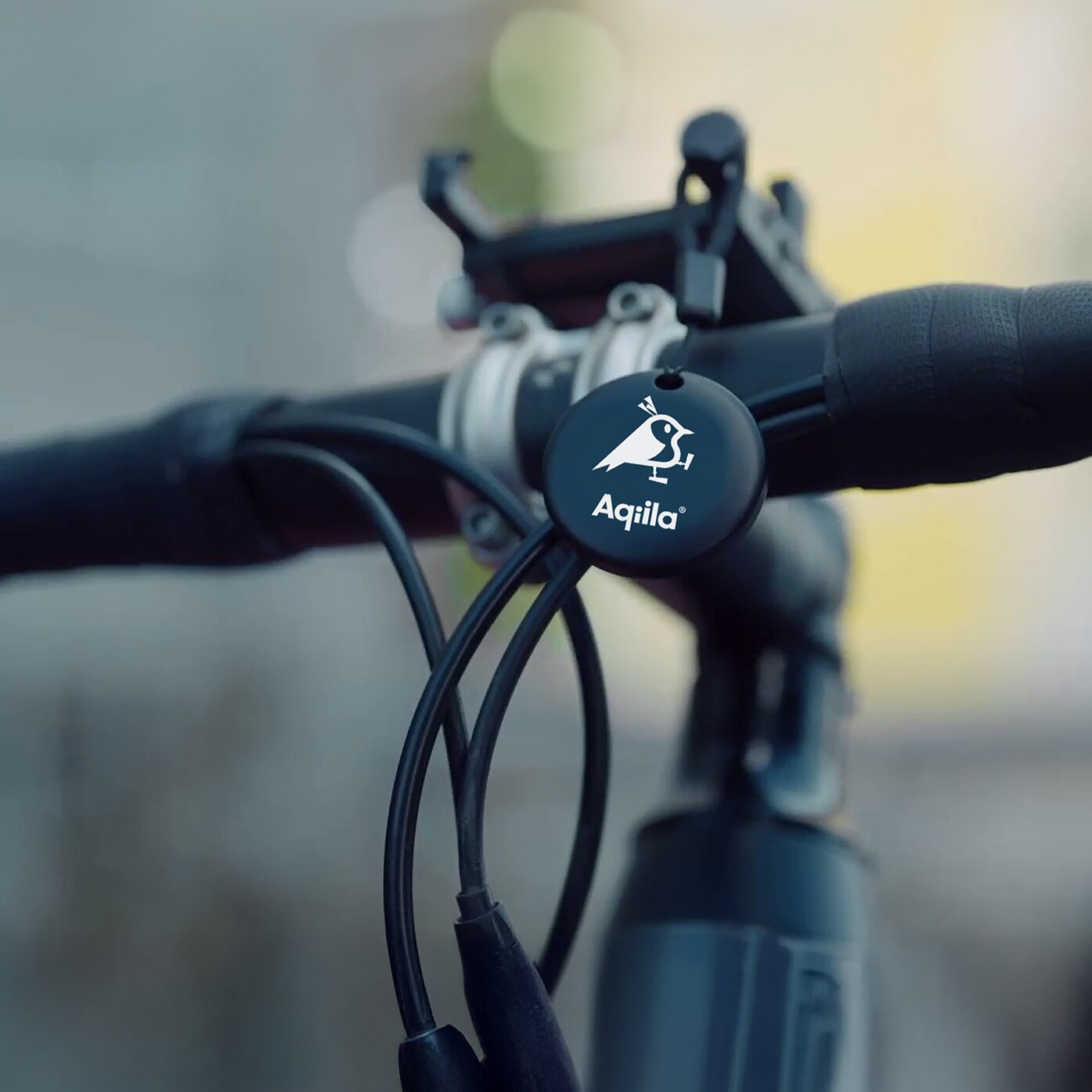 Tagbird Nøglering (4-pack) 