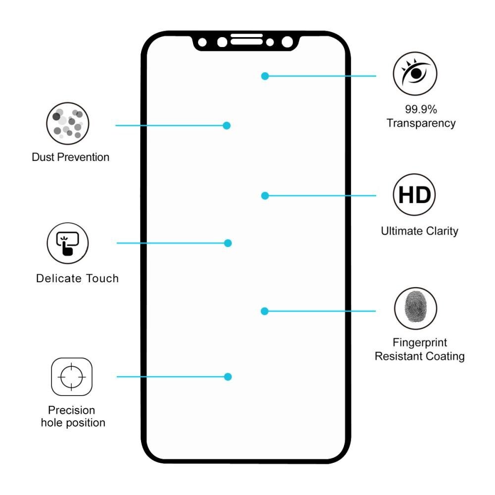 Full Glue Tempered Glass iPhone X/XS Black